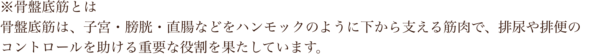 骨盤底筋とは？