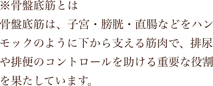 骨盤底筋とは？